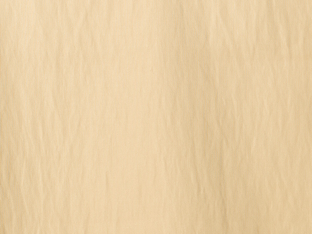 13153/C12 - Тенсель-шелк