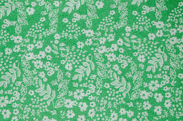 13721/D6/C1 - Хлопок-принт