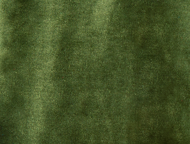 13366/C8 - Бархат 