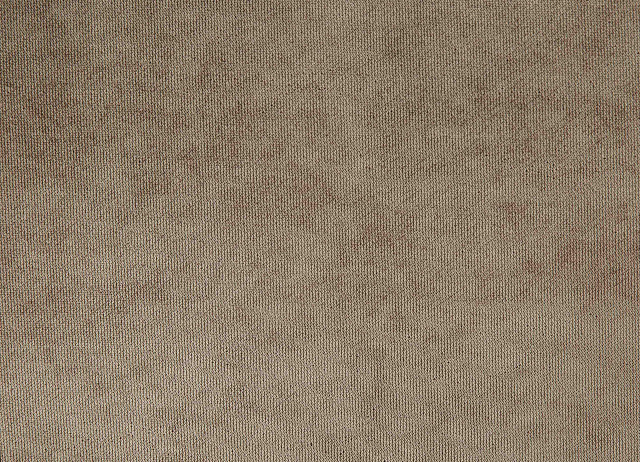 13566/C2 - Микровельвет