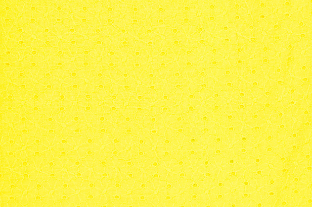 13821/C2 - Хлопок-шитье