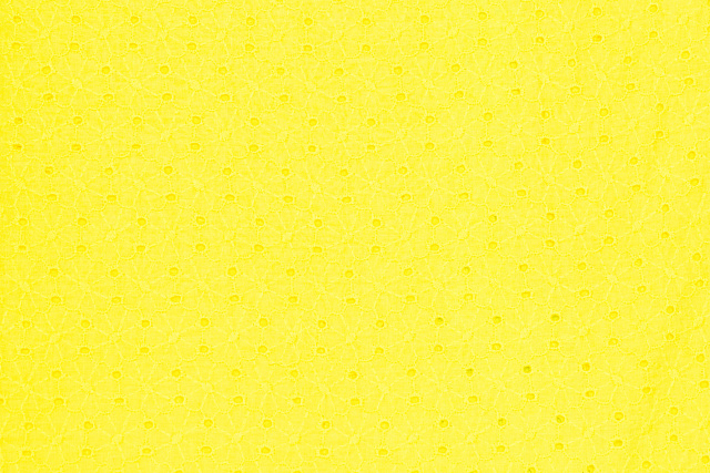13821/C2 - Хлопок-шитье