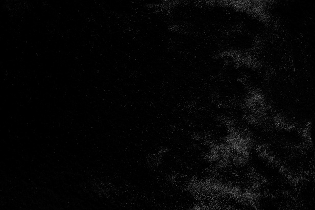 13852/D1/C15 - Мех