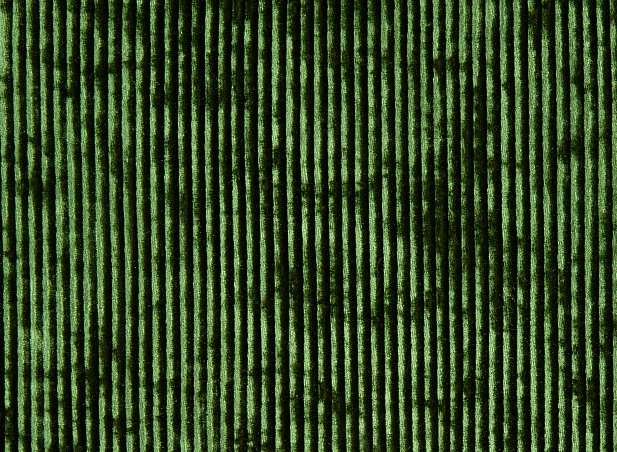 13368/C3 - Бархат-плиссе
