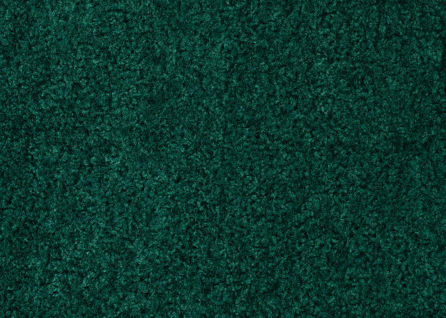 13836/C4 - Мех  